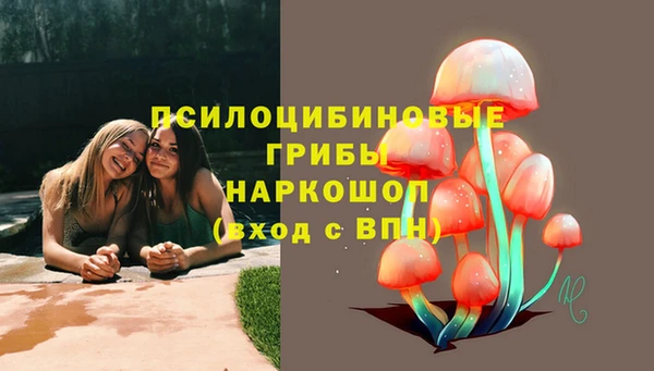 шишки Михайловск