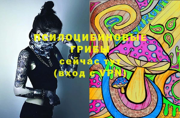 шишки Михайловск