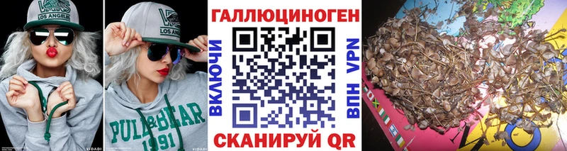Псилоцибиновые грибы ЛСД  сайты даркнета телеграм  Нижняя Тура 